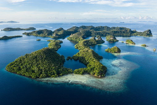 Remote limestone islands in Raja Ampat, Indonesia, are surrounded by healthy coral reefs. This biodiverse region is known as the "heart of the Coral Triangle" due to its amazing marine life.