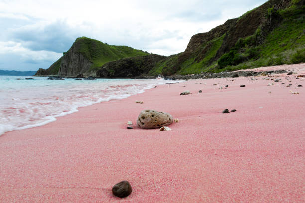 pink beach Komodo snorkeling spot in Indonesia