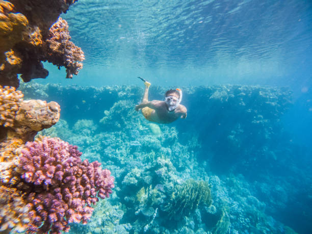 Guide Snorkeling In Nusa Penida With Extra Tips