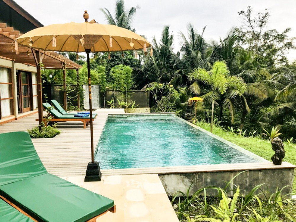 villa ubud with forest view