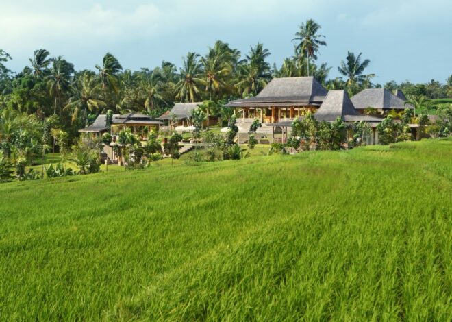 Bali Property Market After Floods: Assessing Value Changes in Denpasar