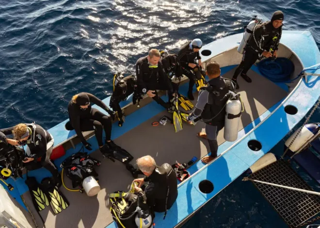 What You Need to Know Before Diving in Indonesia