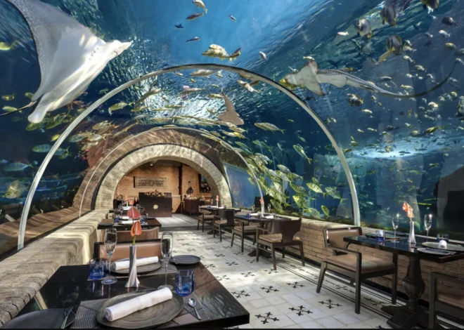 Best Restaurants in Bali for Every Dining Experience