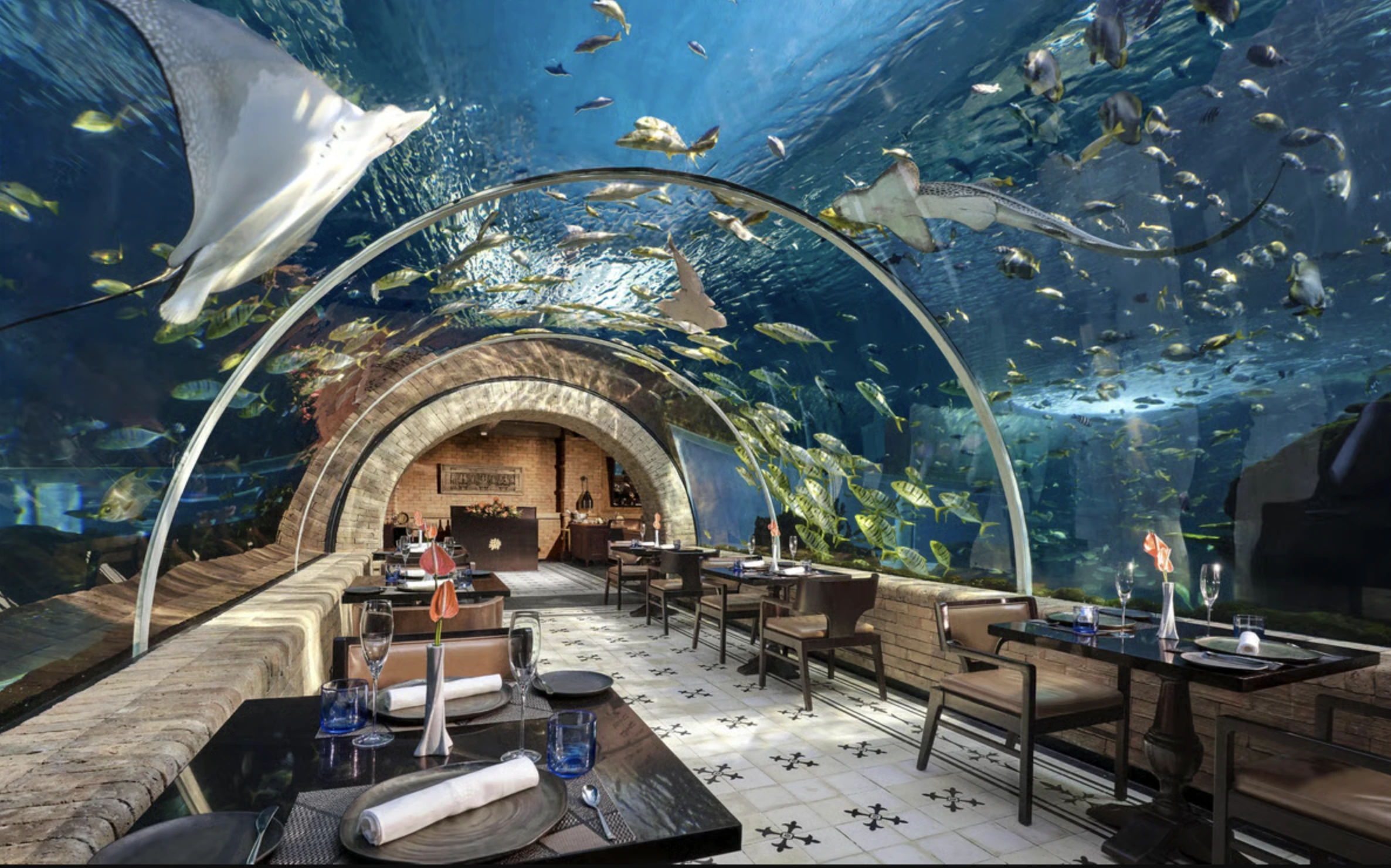 Best Restaurants in Bali for Every Dining Experience